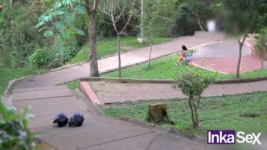 Curvy Latina Caught in the Park: A Steamy Encounter Unfolds!