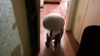 Elegant Milf in Stockings Enjoys a Steamy Home Encounter